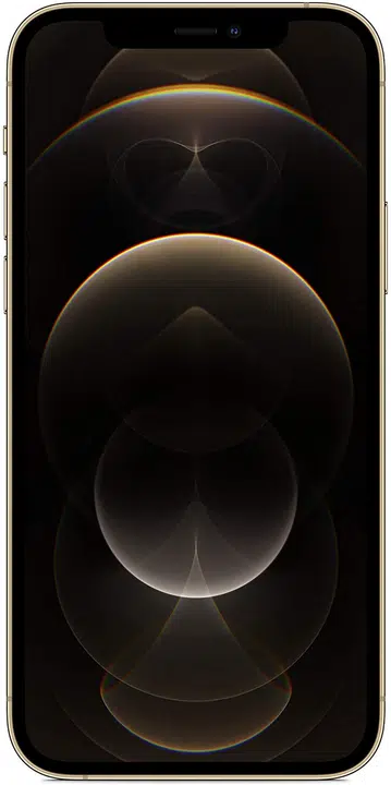 iPhone 12 Pro 256 Go - Or - Débloqué – photo 1 sur 2