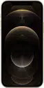 iPhone 12 Pro 256 Go - Or - Débloqué – photo 1 sur 2