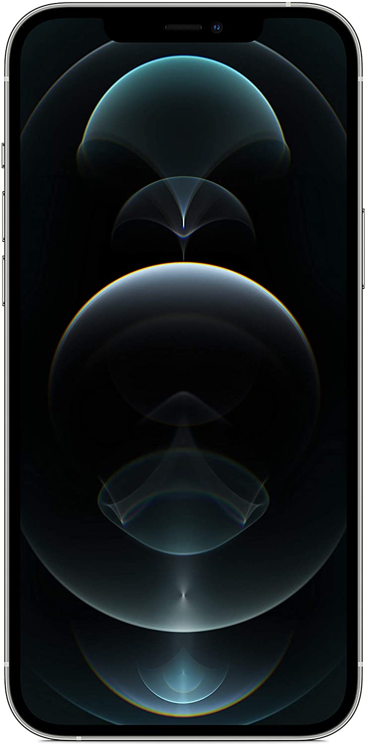 iPhone 12 Pro Max — 256 Go, Argent