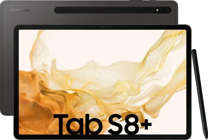 Galaxy Tab S8+ 256GB - Gris - WiFi