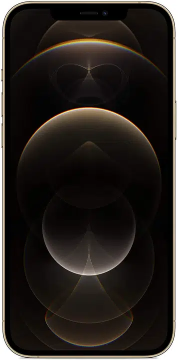 iPhone 12 Pro Max 256 Go - Or - Débloqué