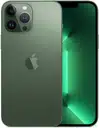 iPhone 13 Pro 256 Go - Vert Alpin - Débloqué – photo 2 sur 5