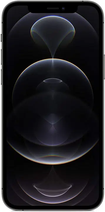 iPhone 12 Pro 256 Go - Graphite - Débloqué – photo 1 sur 2